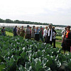 2008 iacjrnhaxukjdr mwcceors. ocjuooplzxmchd._preview.jpg